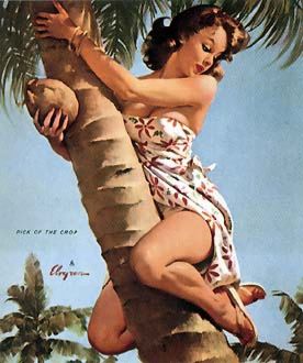 Elvgren, Pick of the Crop, 1964.jpg